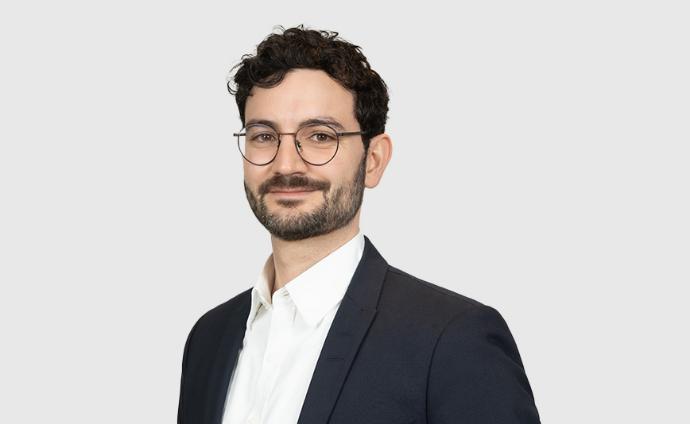 Dr. Gianluca Scheidegger